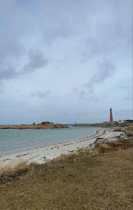 House In The Center Of Andenes Villa Eksteriør bilde